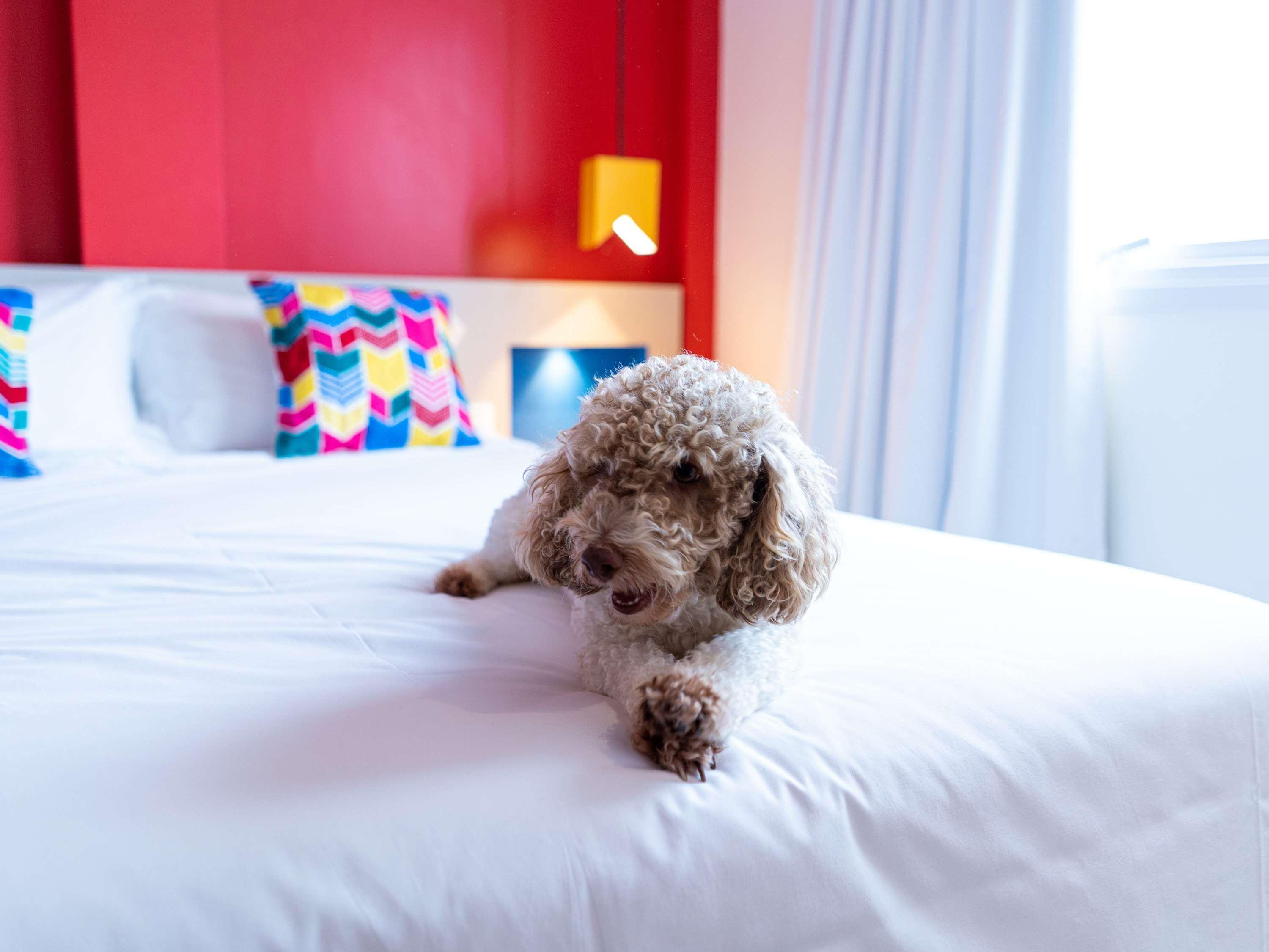Ibis Styles