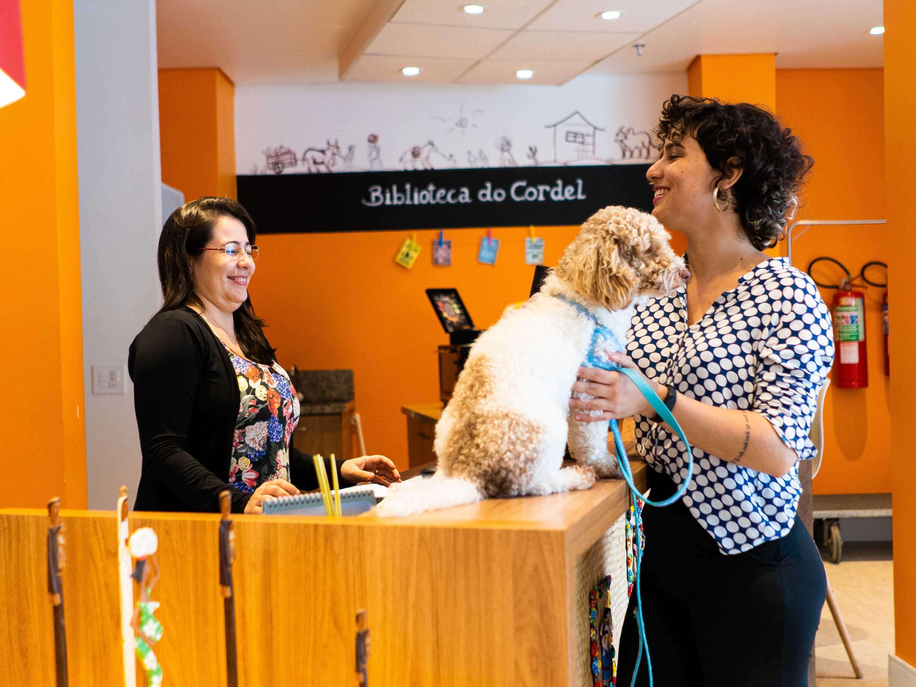 Hotel Ibis Styles Campina Grande
